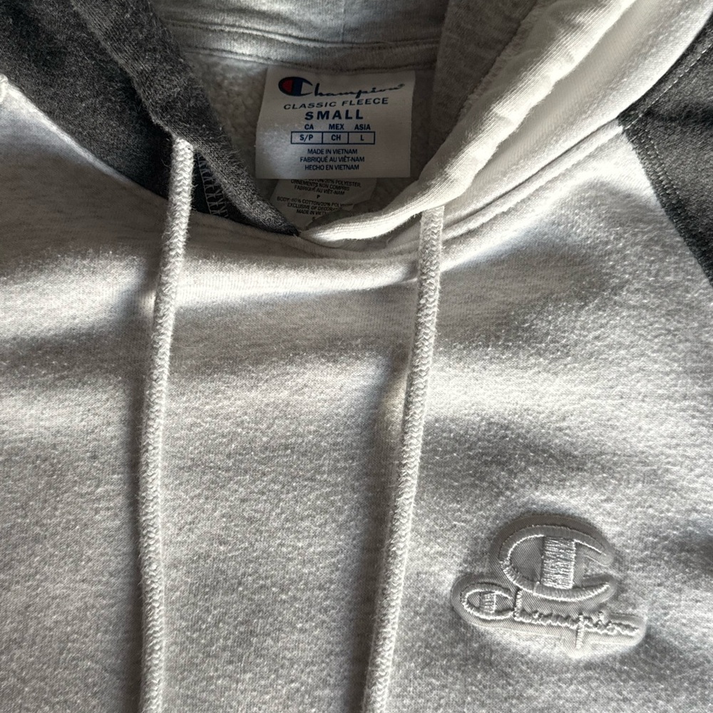 Champion Colorblock Men’s Hoodie - Picture 6 of 8